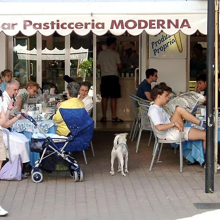 Camini *