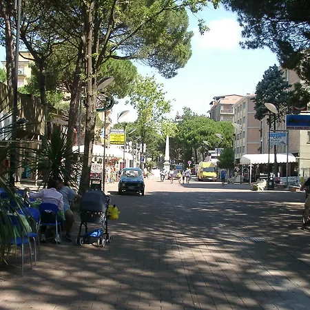 Camini